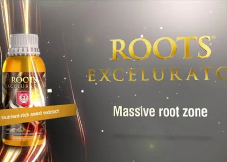 House&Garden ROOTS EXCELURATOR GOLD500ml｜固形培地用プレミアム発根促進剤