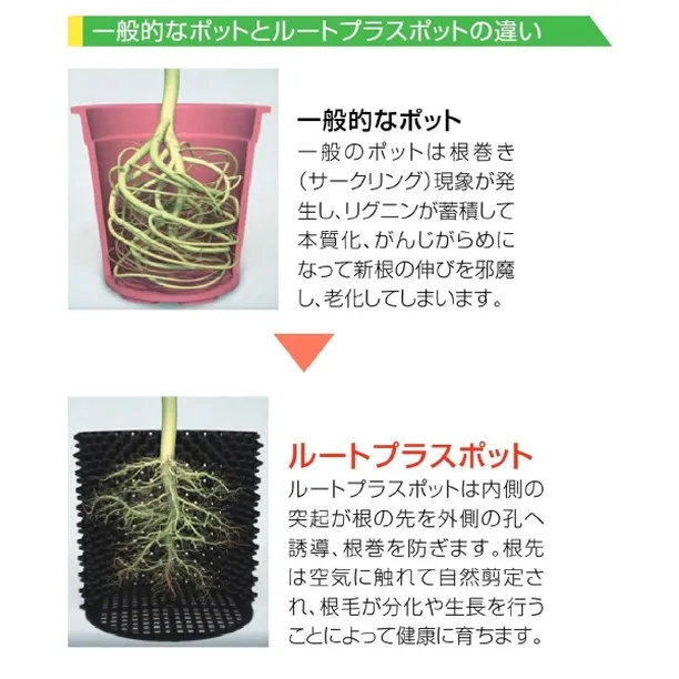 【Root-Pruning Pot】（エアーポット）※当店取...