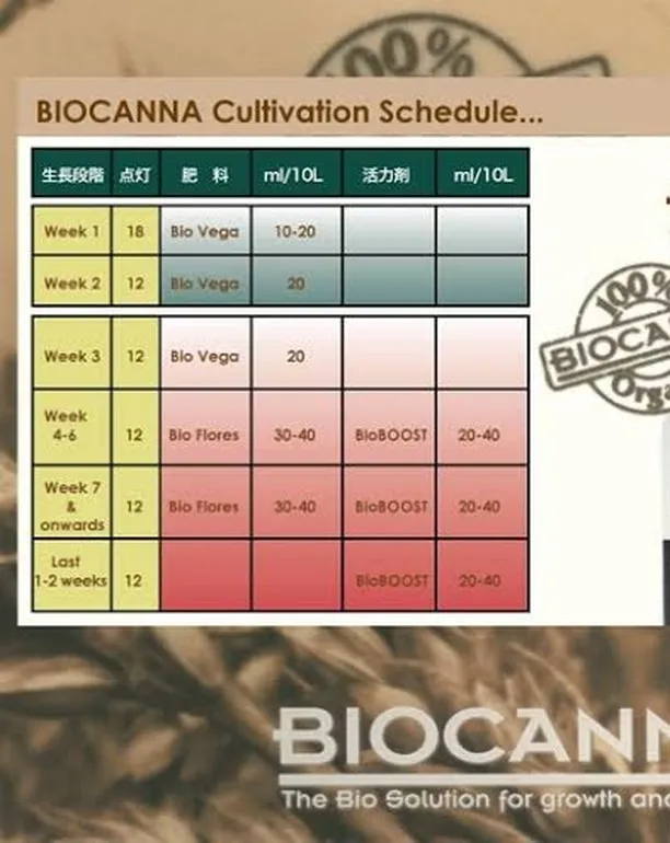 CANNA Research研究所が世界中回ってリサーチして...