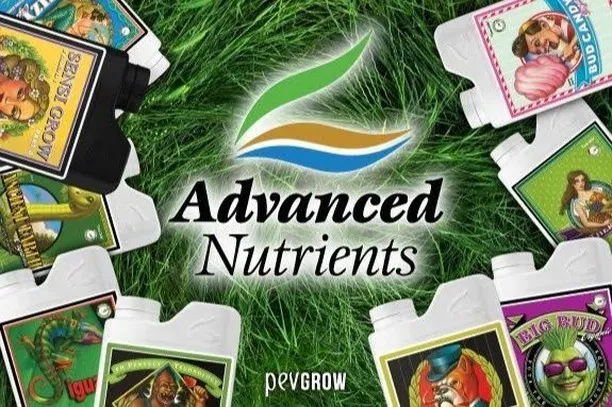 差をつける活力剤をお求めの方はAdvanced Nutrie...